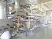 RVS continue bandfriteuse voor pinda's, cashewnoten, maïs en andere voedingsmiddelen, 900 kg/uur, 2 jaar garantie, SUISER MAKINE
