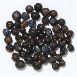 New season Organic natural juniper berries bulk supply premium quality dried juniper berries wholesale private label packaging - Product Image 1