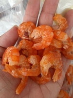Udang kering penjualan terbaik dengan kualitas sempurna Udang Makanan Laut Kering untuk penjualan