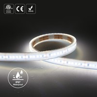 Tira de Luz LED Subterránea de Alta Resistencia IP68 de 127V para Exteriores, para Obras de Construcción, Túneles, Minería, Tira de Luz LED de Alto Voltaje