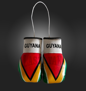 OEM Vente en gros Mini gants de boxe personnalisés Porte-clés Prix d'usine GUYANE Pays Drapeau Voiture Ornement suspendu pour application en extérieur - Product Image 5