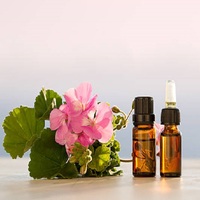 Minyak Esensial Geranium MORYA Berkualitas Tinggi 100% Murni Pelargonium India 1000L Berbagai Ukuran Umur Simpan 24 Bulan Aroma Bunga