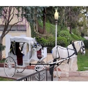 Astonishing Horse Drawn Cubierto Victorian Carruaje Boda Horse Drawn Carriage Fabricante Elegante Indian Horse Buggy EE. UU. - Product Image 1