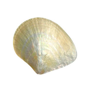 Cuillère et assiette en nacre faits à la main, plat rond pour la décoration de la maison de luxe, cuillère en nacre artisanale pour un usage gastronomique - Product Image 4