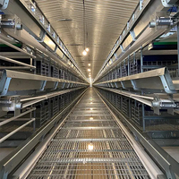 Estructura de gallinero prefabricado Granja avícola Prefabricado Motor de acero proporcionado Gallinero móvil automático