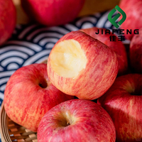 Fournisseur de fruits de première qualité, pommes fraîches de qualité supérieure, destinées à l'exportation