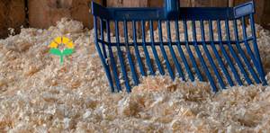 Copeaux de bois de pin séchés, litière pour animaux, origine américaine, moins de 10% d'humidité - Product Image 2