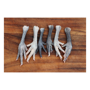 PIEDS DE POULET ENTIER CONGELÉS HALAL DE QUALITÉ D'EXPORTATION PATTE DE POULET - Product Image 6