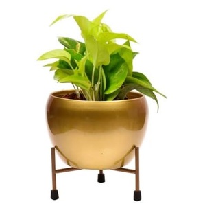 Maceta Metálica para Plantas, Acabado Esmaltado, Soporte para Plantas de Interior, Maceta Metálica, Maceta Decorativa para Plantas Verdes - Product Image 3