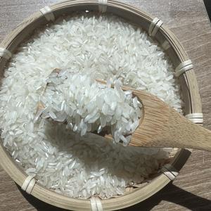 ข้าวเมล็ดขนาดกลางสำหรับเชฟคอลโรสข้าวเม็ดกลางราคาถูกสำหรับการสั่งซื้อจำนวนมาก - Product Image 3