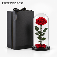 Rose éternelle naturelle en gros sous cloche en verre avec boîte cadeau pour la Saint-Valentin