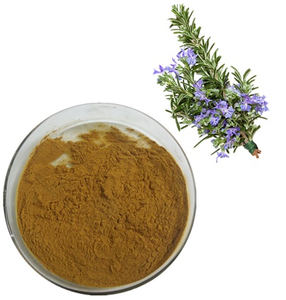 Высококачественный натуральный экстракт розмарина в порошке | 100% органический пищевой консервант розмариновая кислота | Заводские поставки для продуктов питания - Product Image 1