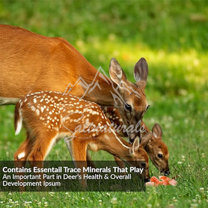 动物舔喜马拉雅粉色舔盐1.5-2千克天然纯盐块在绳子上，马舔石3-5公斤 - Product Image 3