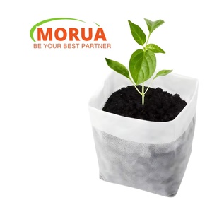 Sacs <span class=keywords><strong>de</strong></span> culture biodégradables en tissu non tissé PE <span class=keywords><strong>de</strong></span> 10 gallons, respirants, durables et économiseurs d'eau pour la maison, le jardin et la pépinière - Product Image 1