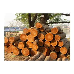 越南制造的高档柚木木材散装优质干圆柚木原木，价格优惠，质量高