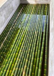 Wholesale Bamboo <b>Poles</b> <b>for</b> Construction & Building Materials - Natural Strong Straight Bamboo <b>Pole</b> <b>Gardening</b> Free Tax - Product Image 4