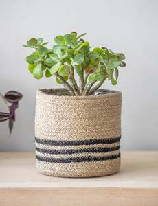 Eagrass-cestas de almacenamiento para regalos, canasto de picnic - Product Image 3