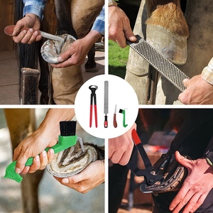 Juego de instrumentos veterinarios equinos reutilizables profesionales, Kit de herramientas de herrador de caballos con pezuña, recortadora, escofina, cuchillo, escofina Más - Product Image 6
