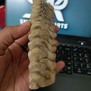 ด้ามมีดทำมือจากเขาควายคุณภาพพรีเมียม ทนทาน สวยงาม แผ่นลายสเกล โดดเด่นไม่เหมือนใคร ขัดเงาจากเขาแกะและเขาแพะดิบ - Product Image 2