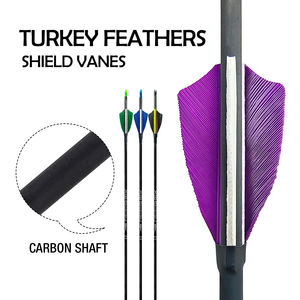 ID3.2/4.2/6.2 panah karbon murni panahan SP350 ~ SP1500 31 "panjang dapat disesuaikan 2.2" bulu Turki busur/busur campuran berburu - Product Image 3