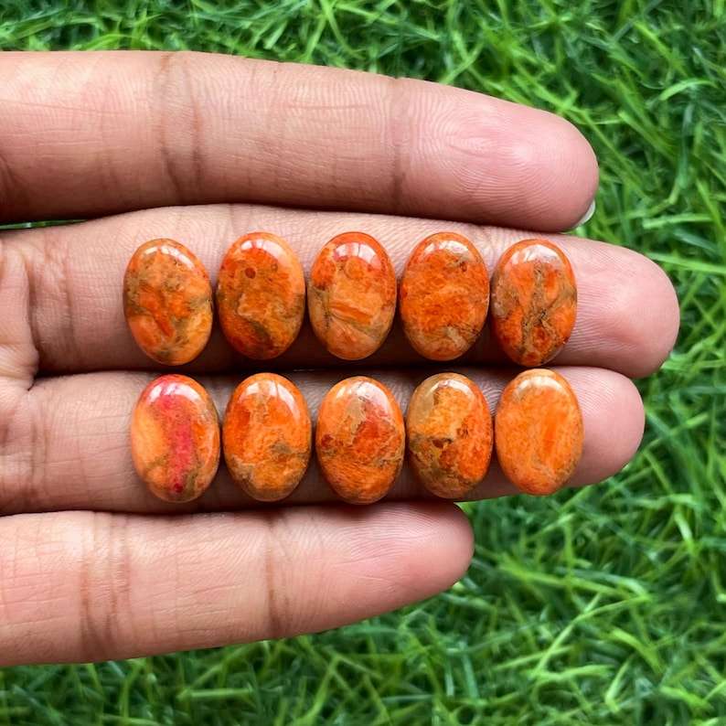 เช่นเดียวกับในภาพ