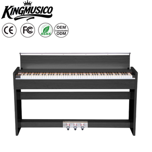 Órgano Electrónico de 88 Teclas, Teclado de Piano Perfecto con Teclas Iluminadas, Ayuda para Principiantes o Profesionales, Enseñanza Musical, <span class=keywords><strong>Estudio</strong></span> y Entrenamiento - Product Image 1