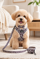 Ensemble Harnais et Laisse pour Chien à Imprimé Léopard Personnalisé en Gros – Harnais Réglable pour Animaux de Compagnie avec Collier et Accessoires pour Chiens