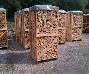 Bois de chauffage de chêne européen de qualité supérieure, à combustion lente, faible teneur en cendres, séché au four, provenant de Belgique (chêne, frêne, pin) - Product Image 2