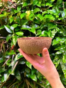 Cuencos de coco biodegradables 100% hechos a mano Vietnam/Cuencos de cáscara de coco lacados de alta calidad y buen precio - Product Image 4