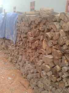 BOYA WOOD/KAYU GAHARU BUAYA - Product Image 2