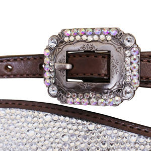 Fabricant sur mesure Western Horse Strass transparents Décorés Headstall Gladiateur Collier de poitrine Assorti Fantaisie Horse Show Tack - Product Image 4