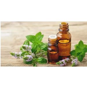 Pure and Natural Cold Pressed Organic Peppermint Seed Essential Oil Wholesale Bulk Price Base Oil