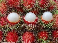 Pasokan Buah Rambutan Beku Murah/ Rambutan Beku Grosir Ms Sophie