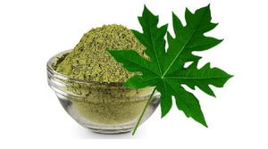 Polvo de Corteza de Papaya Natural 100% Puro de Primera Calidad, Finamente Procesado, Hojas Frescas de Alta Calidad, en Envase Verde Auténtico - Product Image 2