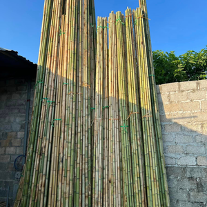 Suministro al por mayor de estacas de bambú natural ecológicas personalizadas para jardinería y materias primas de construcción - Product Image 2