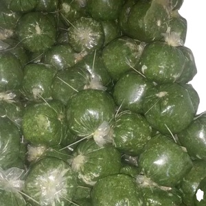 Vente en gros de meilleures feuilles de manioc congelées de fournisseurs vietnamiens de qualité supérieure - Product Image 1