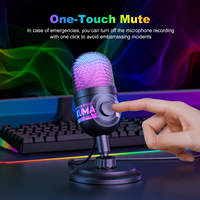 Fabrik-Großhandel RGB USB Gaming-Mikrofon mit Nierencharakteristik, Echtzeit-Überwachung und Stummschalttaste für Streaming und Podcasts (OEM)