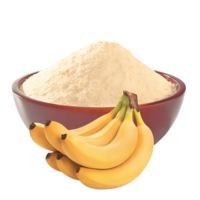 Topverkochte 100% premium kwaliteit bananenpoeder, voedingskwaliteit, gevriesdroogd, tegen groothandelsprijs uit India