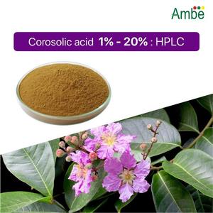 Extracto de hoja de Banaba 5% ácido corosólico por HPLC ingrediente botánico de calidad superior al por mayor - Product Image 4