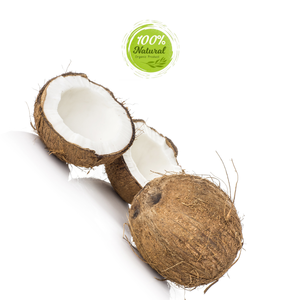 Produits agricoles Noix de coco séchée rehaussant la saveur des soupes au lait de coco réfrigérées - Product Image 6