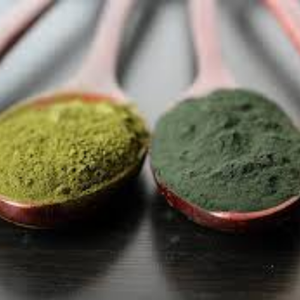 Poudre d'engrais d'extrait d'algues Oganic naturel de haute qualité poudre d'algues - Product Image 2