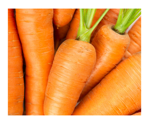 Carottes biologiques fraîches bon marché prêtes à l'exportation/Fournisseur en gros de carottes fraîches prêtes à être expédiées - Product Image 1