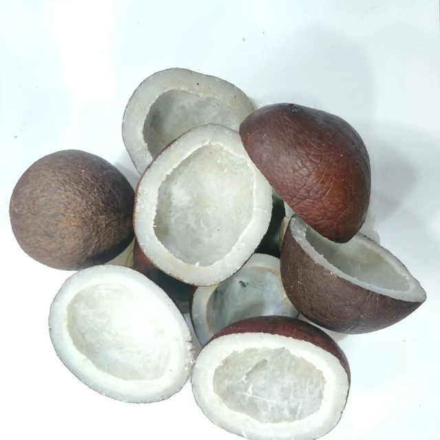 DRIED COCONUT COPRA HIGH FAT CONTENT FROM VIETNAM