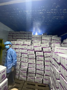 Verduras de yuca congeladas orgánicas de alta calidad Nuevo cultivo Parte completa personalizable de Vietnam - Product Image 5