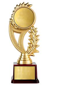 Trofeo de Metal Único para Ceremonia de Apertura, Celebración y Evento Escénico - Product Image 2