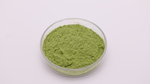 Bán buôn nhà máy bán hàng trực tiếp đóng băng khô Kiwi bột cấp thực phẩm tinh khiết Kiwi chiết xuất trong trống bao bì - Product Image 3