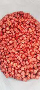 Premium Mundu Chili-Chiles rojos secos enteros, orgánicos, seleccionados a mano, 100% naturales, especias indias disponibles a granel 25kg/50kg - Product Image 4