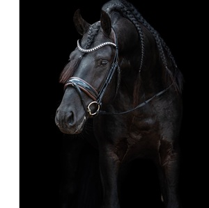 Bride Snaffle - Product Image 6