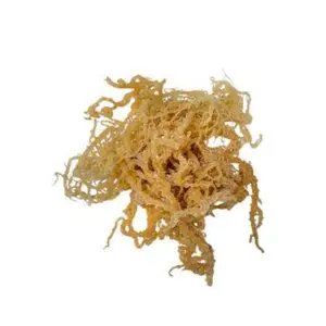 Natural Wildcrafted Sea Moss Irish Moss seamoss raw organic - dried seafood from direct exporter Viet Nam