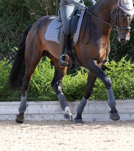 Mosaïque Impex Sport Équitation Cheval Soins Vente Chaude Néoprène PVC Médecine Bottes De Protection Jambe Longueur Cheval Bottes Trempage Sabot Soins - Product Image 4